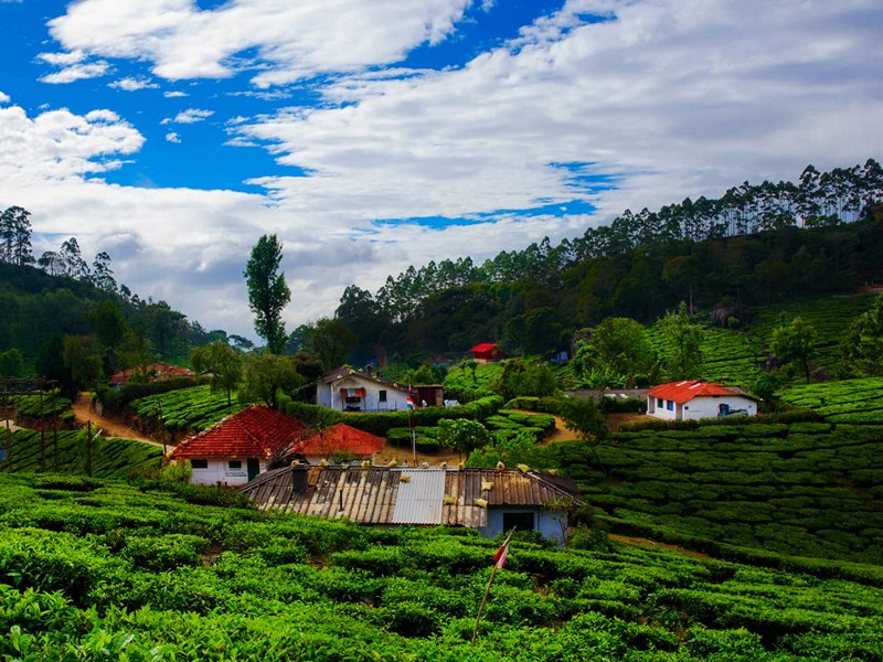 North and south India tour