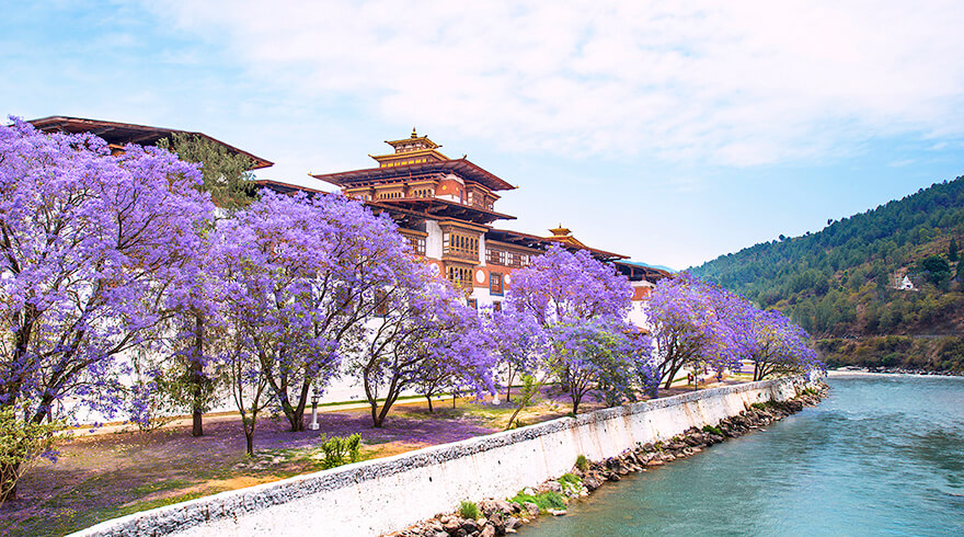 Best time to visit Bhutan travel guide image
