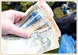 Currency travel guide image